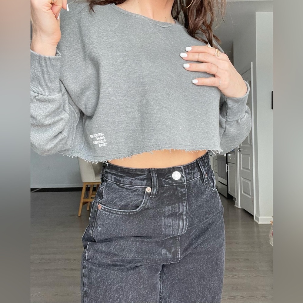 Zara Gray Crop Top